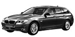 BMW F11 C20DD Fault Code